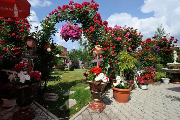 Pensiunea Sofia Timisoara Ngoại thất bức ảnh