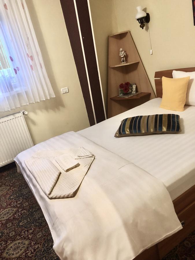 Pensiunea Sofia Timisoara Ngoại thất bức ảnh